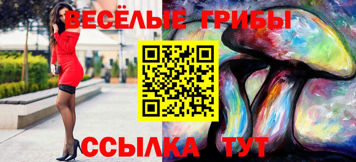 Галлюциногенные грибы Psilocybe Кирово-Чепецк