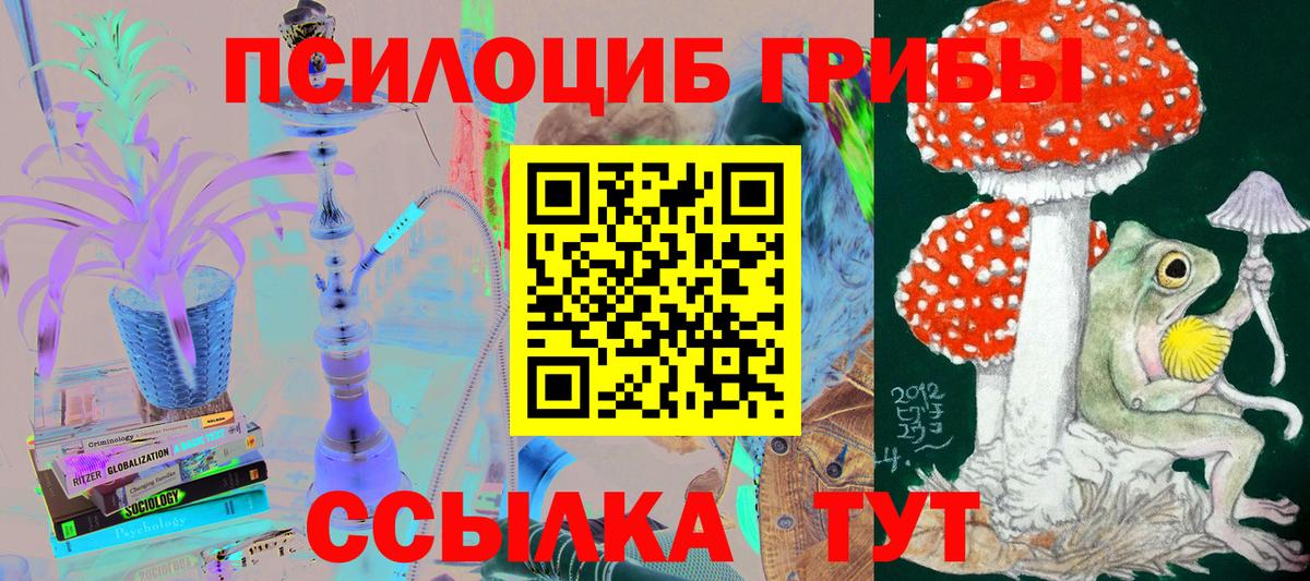 Кирово-Чепецк  Псилоцибиновые грибы Magic Shrooms  Псилоцибиновые грибы Magic Shrooms  Вход с VPN 